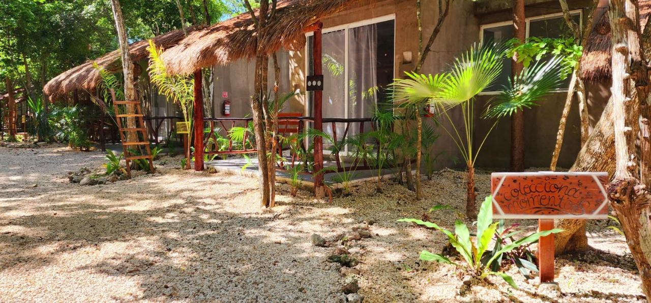 Hotel Kin Tulum Jungle Deluxe Dış mekan fotoğraf