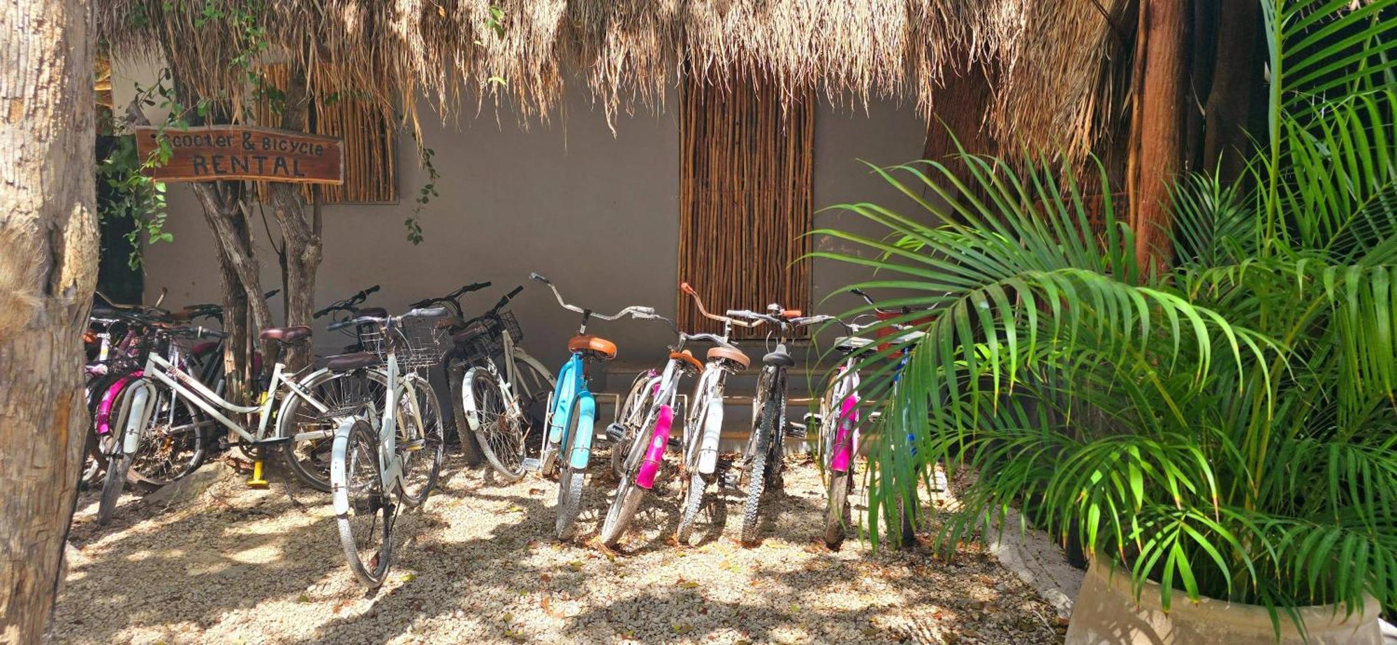 Hotel Kin Tulum Jungle Deluxe Dış mekan fotoğraf